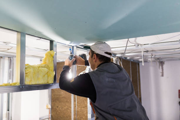 Best Attic Insulation Installation  in Taft Southwest, TX