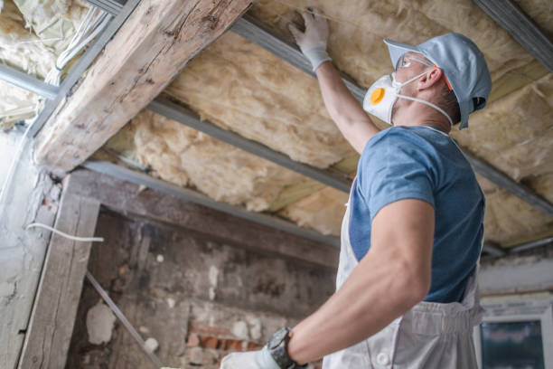 Best Best Insulation Companies  in Taft Southwest, TX