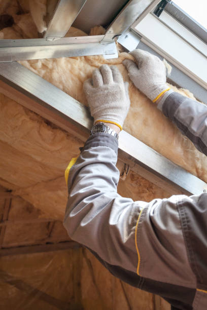 Best Home Insulation Services  in Taft Southwest, TX