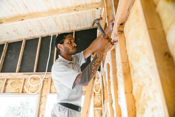 Best Cellulose Insulation  in Taft Southwest, TX