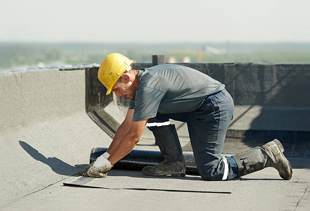 Best Professional Insulation Contractor  in Taft Southwest, TX
