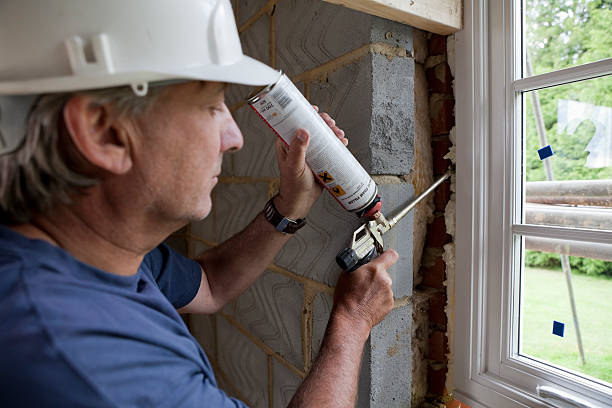 Best Attic Insulation Installation  in Taft Southwest, TX