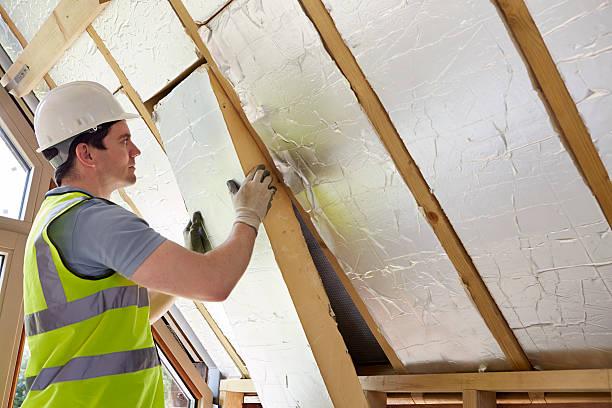 Best Spray Foam Insulation  in Taft Southwest, TX