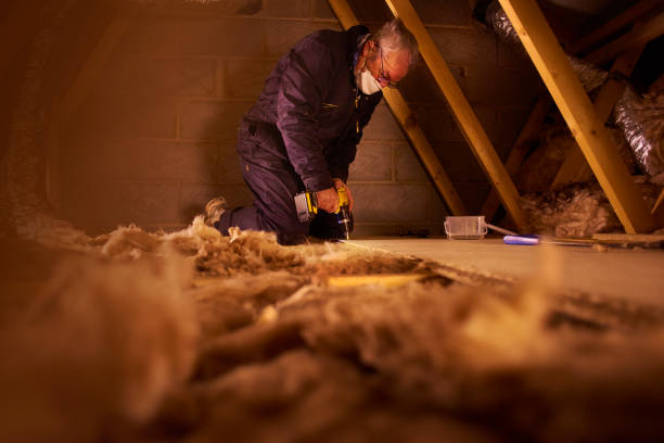 Garage Insulation Installation in Taft Southwest, TX